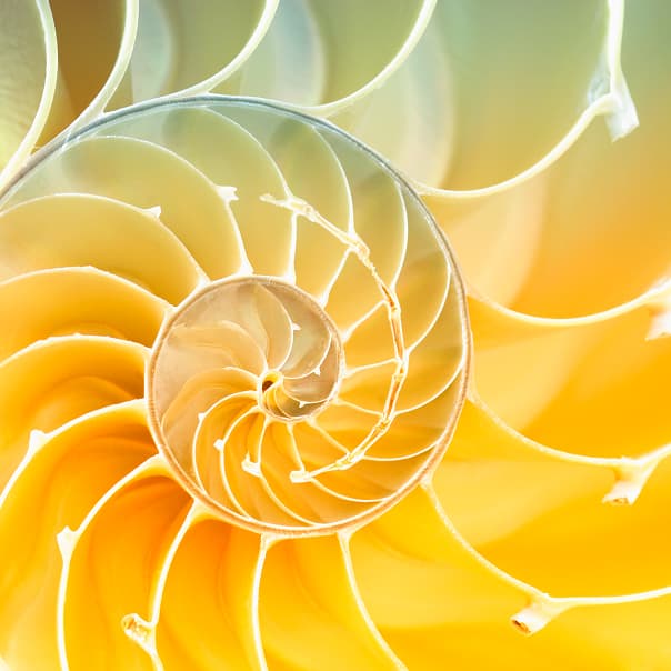 /images/home-slider/slide-1.jpg