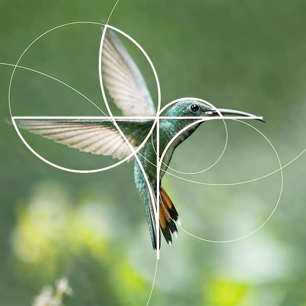 /images/home-slider/slide-12.jpg