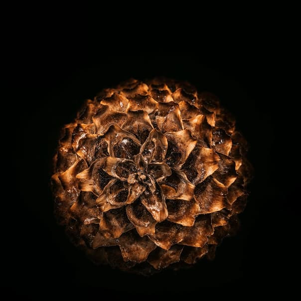 /images/home-slider/slide-4.jpg