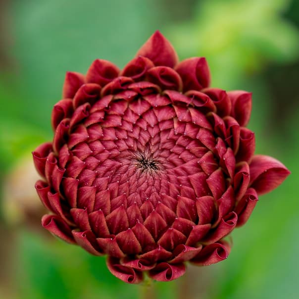 /images/home-slider/slide-5.jpg