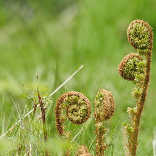 /images/home-slider/slide-7.jpg