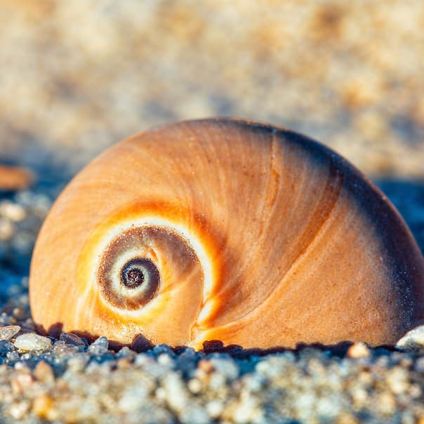 /images/home-slider/slide-9.jpg